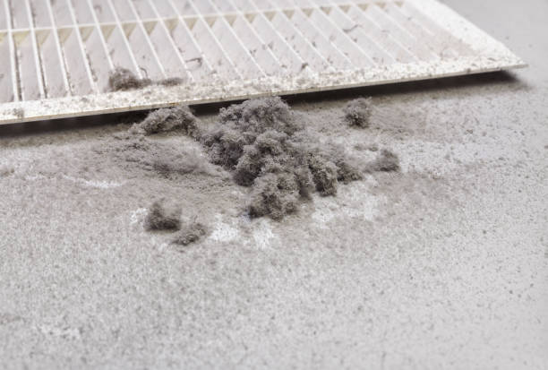 Best Professional Duct Cleaning Services  in Luxora, AR