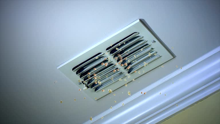 Best Best Air Duct Cleaning Company  in Luxora, AR