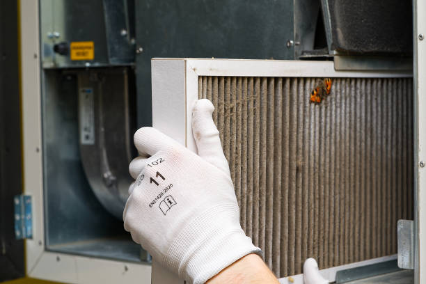 Best Emergency Air Duct Cleaning  in Luxora, AR