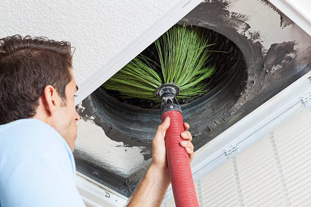 Best Duct Cleaning Specialists  in Luxora, AR